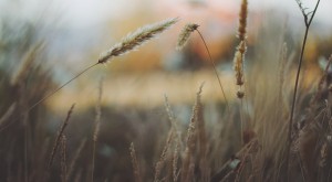 slideshow-hipster-post-2